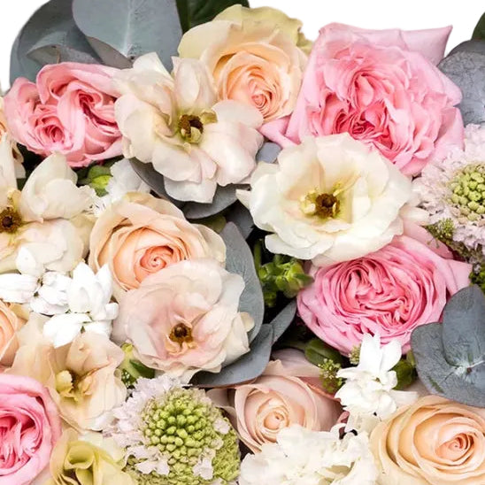 Fairytale Dreams DIY Box - 48LongStems.com