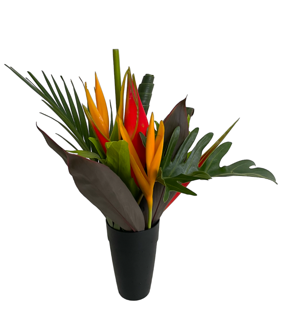 Fun Size Amazon Tropical Centerpieces - 48LongStems.com