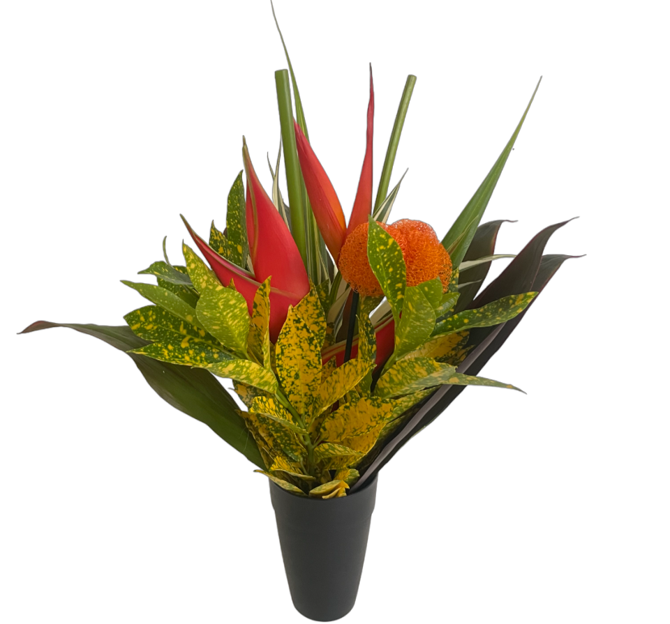 Fun Size Parrot Tropical Centerpieces - 48LongStems.com