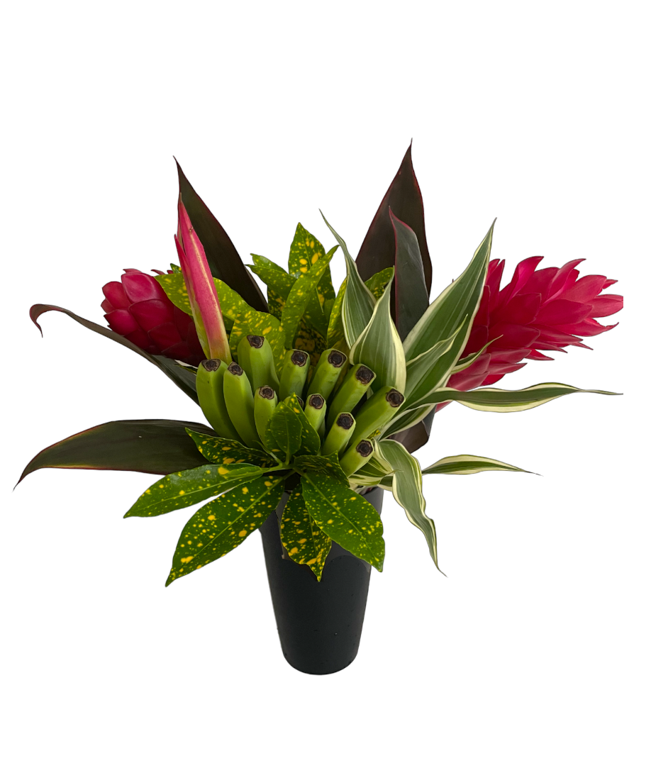 Fun Size Rainbow Red Tropical Centerpieces - 48LongStems.com