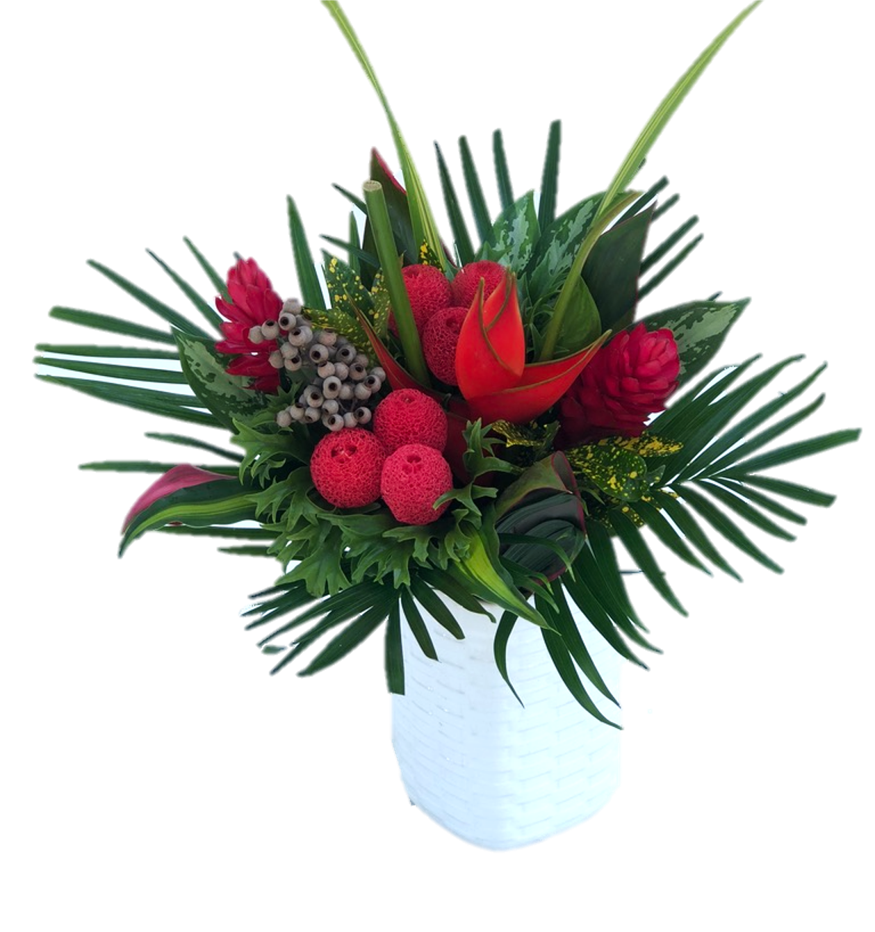 Large Holiday Tropical Centerpieces - 48LongStems.com