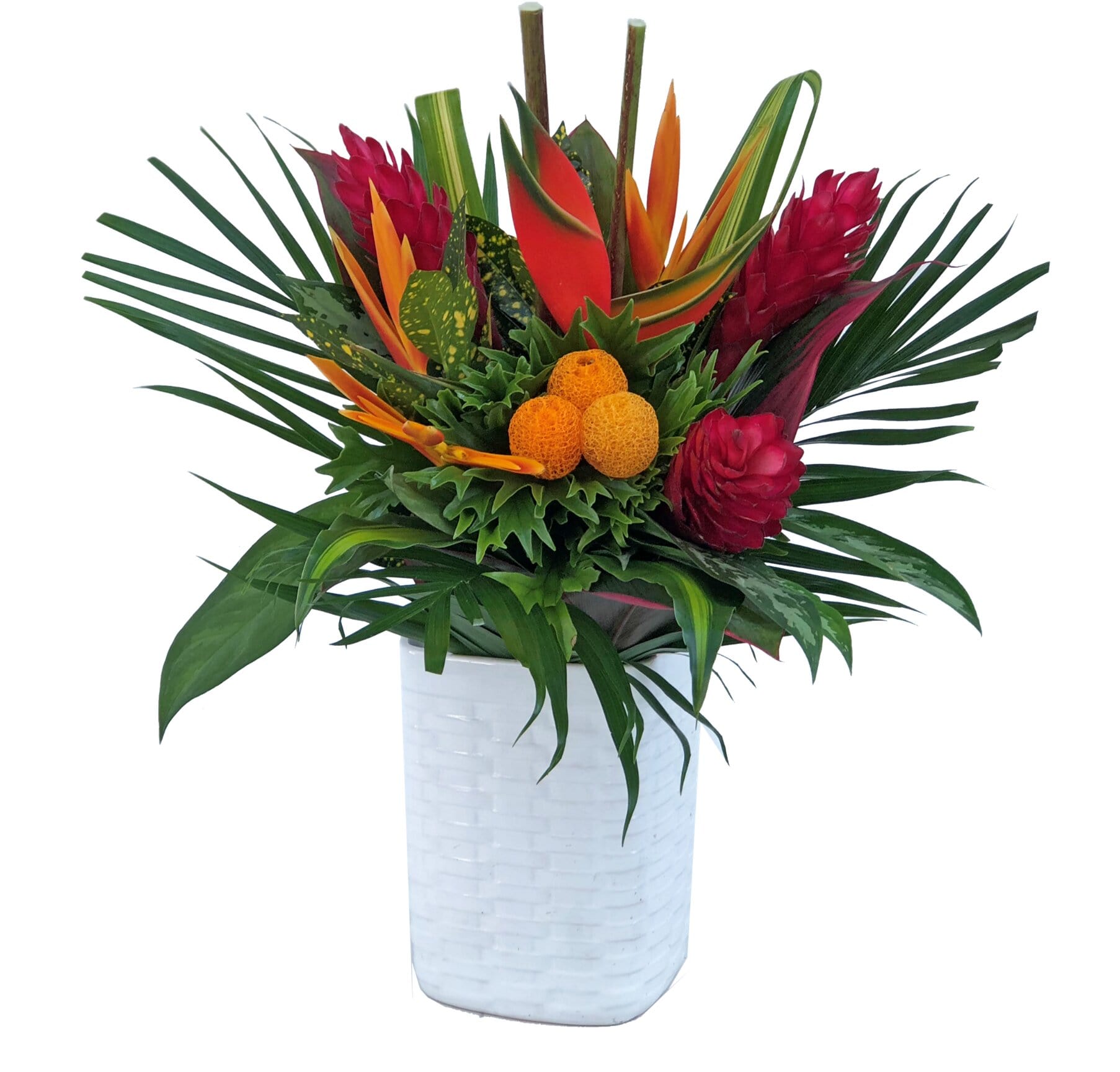 Large Lua Orange Tropical Centerpieces - 48LongStems.com