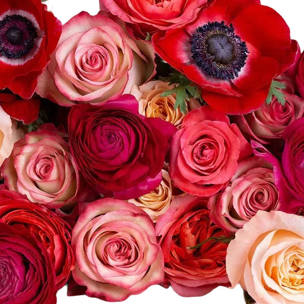 Lady In Red DIY Box - 48LongStems.com