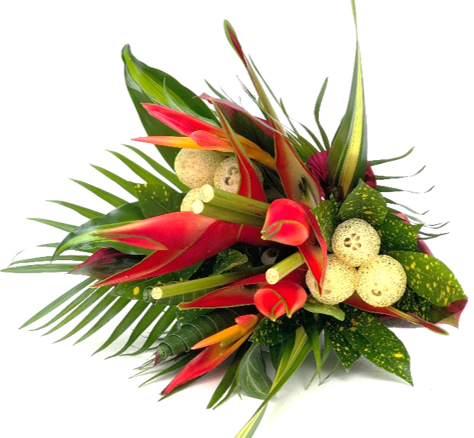Large Parrot Tropical Centerpieces - 48LongStems.com