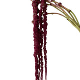 Red Hanging Amaranthus
