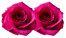 Load image into Gallery viewer, Rose Combo Box Single Color-50 stems
