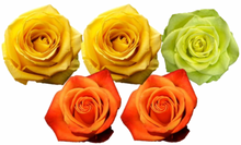Load image into Gallery viewer, Rose Combo Box - 125 Stems
