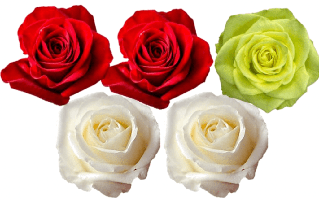 Rose Combo Box - 125 Stems - 48LongStems.com
