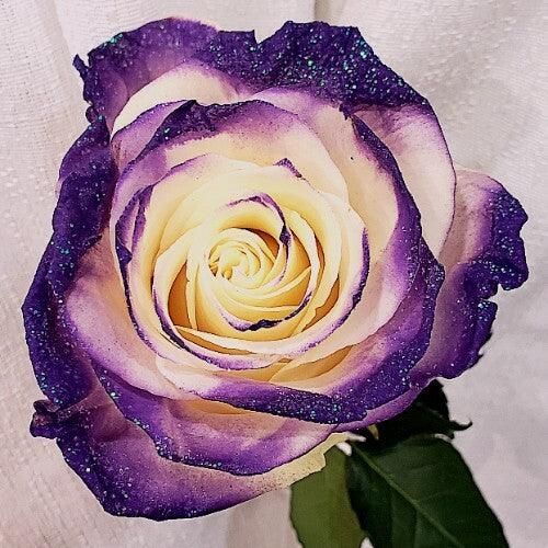 White Roses with Dark Purple Glitter - Bulk