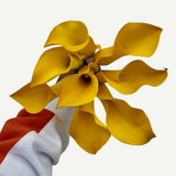 Mini Calla Jive