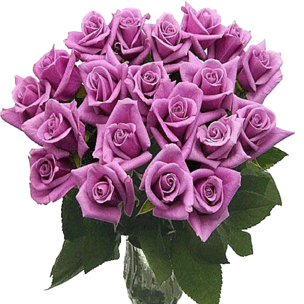 Lavender Rose Bouquet - 48LongStems.com