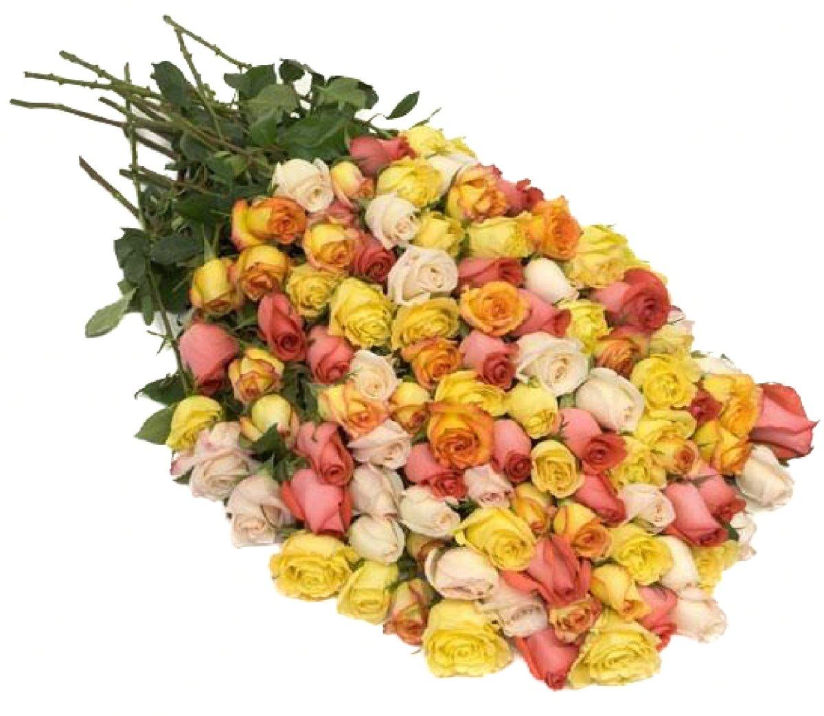 50 Long Roses 50 Long Stem assorted Roses | 50 assorted roses – 48LongStems.com