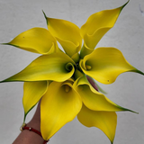 Mini Calla Montecarlo