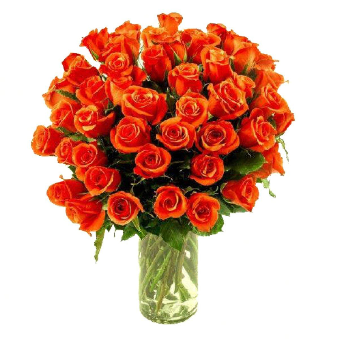 Long Stem Orange Rose Bouquet | Wholesale Roses – 48LongStems.com