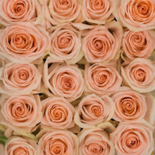 Load image into Gallery viewer, Peach Rose Bouquet
