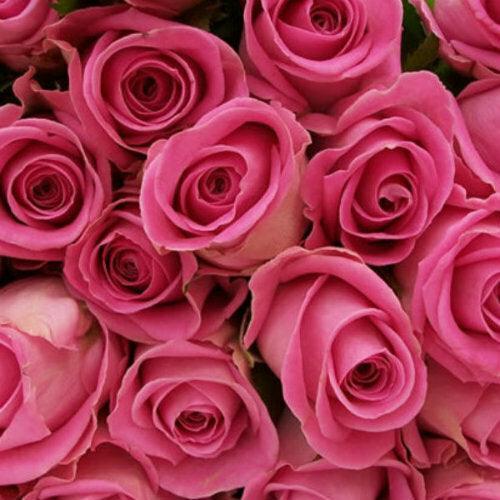 Pink Rose Bouquet - 48LongStems.com