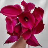 Mini Calla Pink Harmony