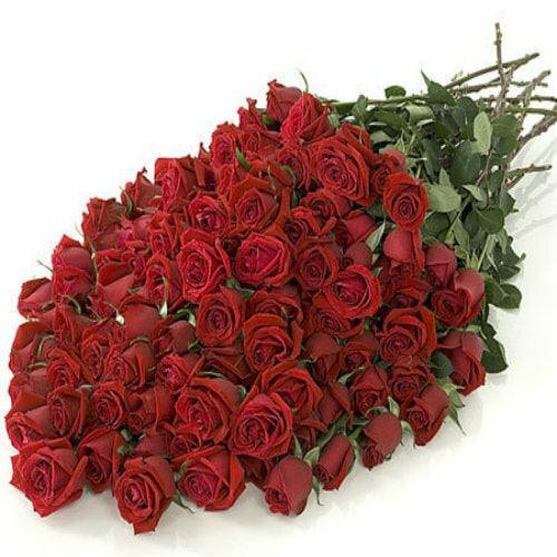 Red Rose Bouquet - 48LongStems.com