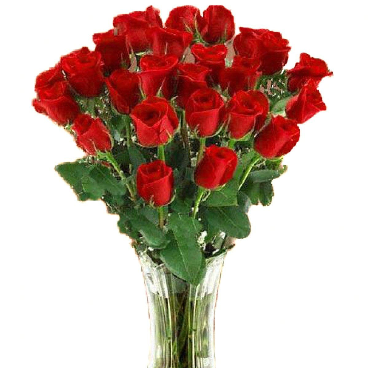 48 Rd Roses Short Stem Wholesale Flowers | Wedding Flowers | 48LongStems – 48LongStems.com