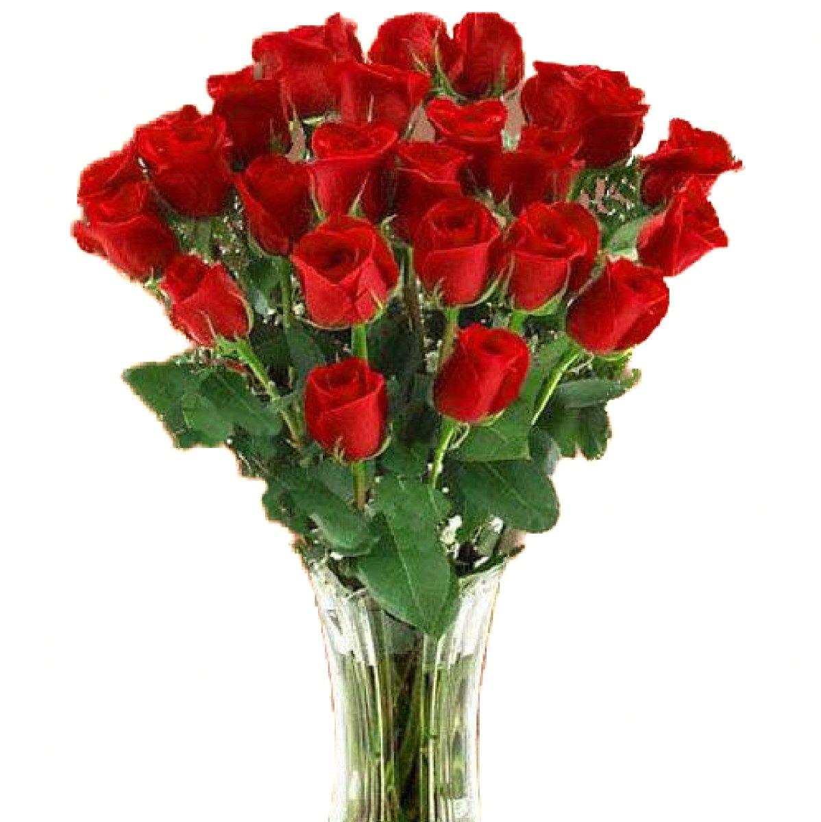 Red Rose Bouquet - 48LongStems.com