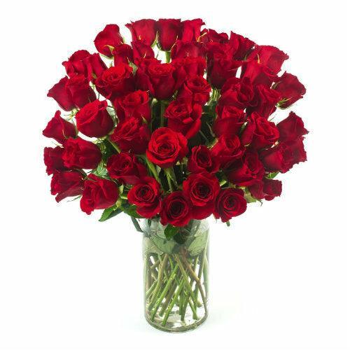 Red Rose Bouquet - 48LongStems.com