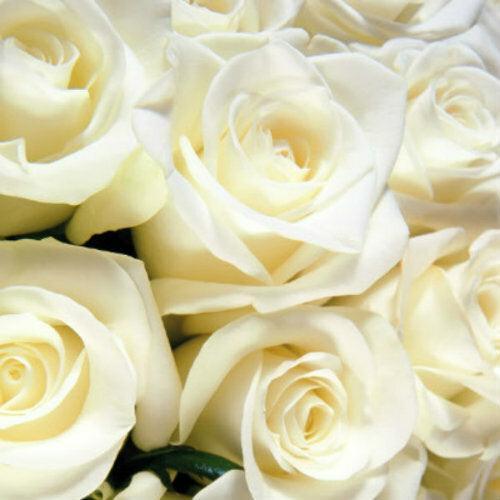 White Rose Bouquet - 48LongStems.com