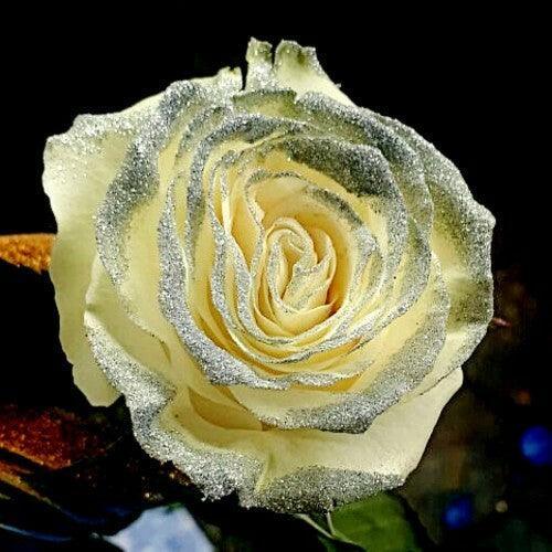 White Roses with Silver Glitter - Bulk | Wholesale Glitter Roses