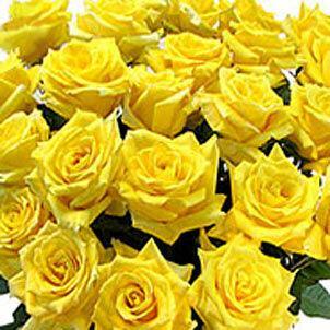 Long Stem Yellow Rose Bouquet | Wholesale Roses – 48LongStems.com