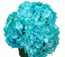 Load image into Gallery viewer, Airbrushed Standard Hydrangeas - Wholesale - 48LongStems.com
