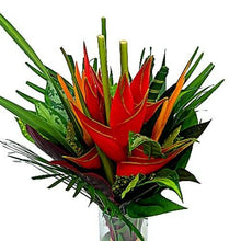 Load image into Gallery viewer, Amazon Medium Tropical Bouquet - 48LongStems.com
