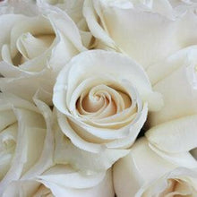 Load image into Gallery viewer, Amelia White Roses Wholesale - 48LongStems.com
