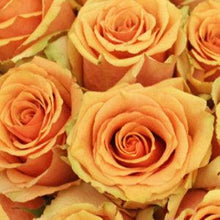 Load image into Gallery viewer, Azafran Peach Roses Wholesale - 48LongStems.com
