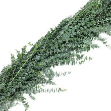 Load image into Gallery viewer, Baby Blue Eucalyptus Garland - 48LongStems.com

