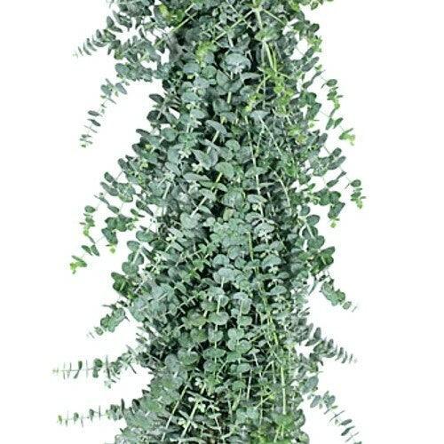 Baby Blue Eucalyptus Garland - 48LongStems.com