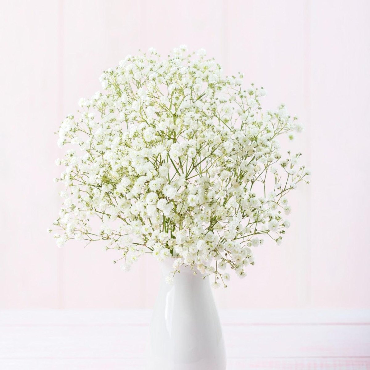 Wholesale baby breath To Decorate Your Environment 
