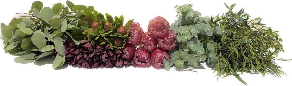 Brenda Protea DIY Bouquet Kit - 48LongStems.com