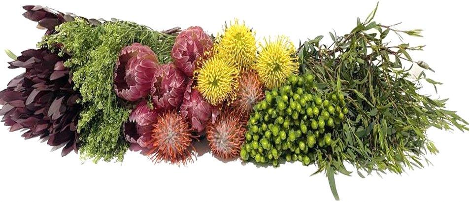 Brenda Protea & Pin Cushion DIY Bouquet Kit - 48LongStems.com