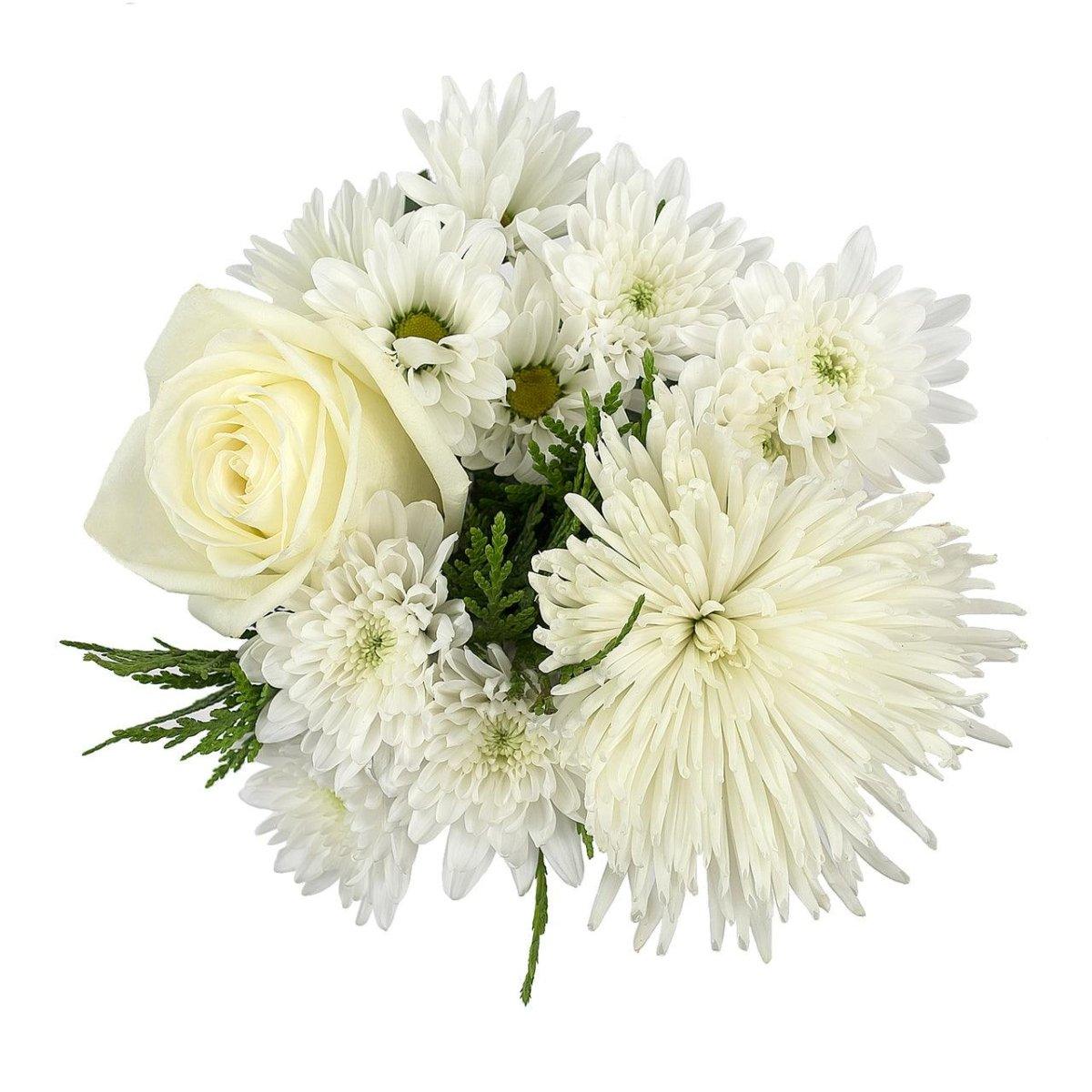 Bright Lights - 48LongStems.com