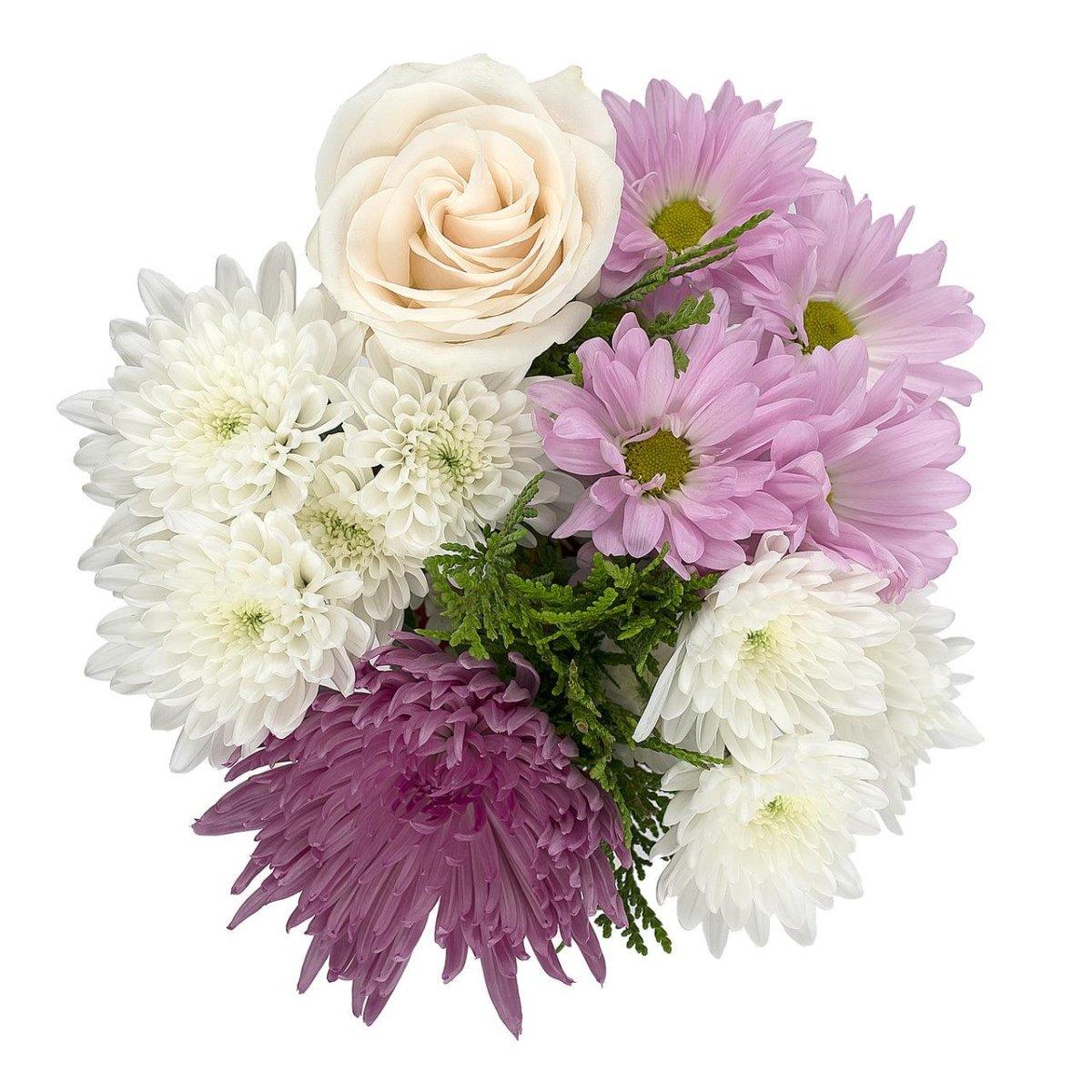 Bright Lights - 48LongStems.com