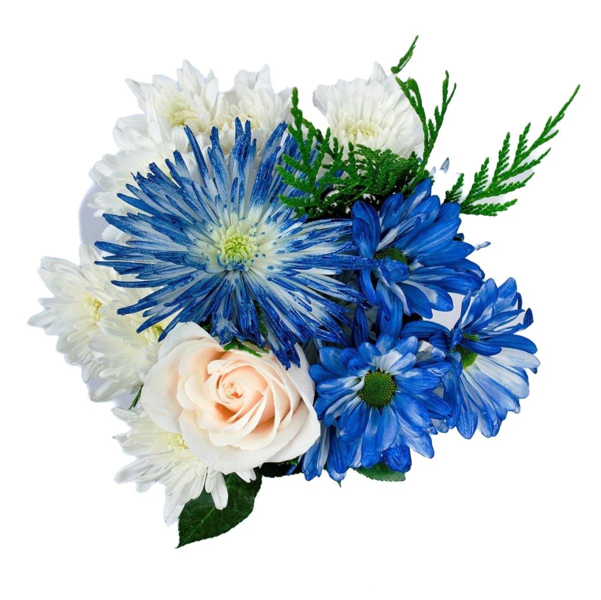 Bright Lights - 48LongStems.com