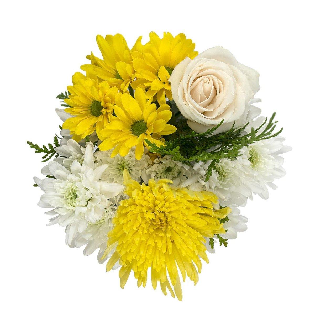 Bright Lights - 48LongStems.com