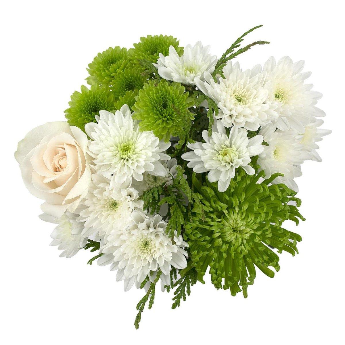 Bright Lights - 48LongStems.com