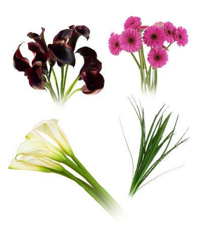 Calla Lilies (large), Calla Lilies (mini), Gerbera Daisies, Lily Grass Combo Box - 48LongStems.com