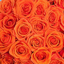 Load image into Gallery viewer, Cayenne Orange Roses Wholesale - 48LongStems.com
