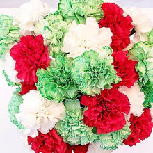 Load image into Gallery viewer, Christmas Carnations Combo Pack - 48LongStems.com
