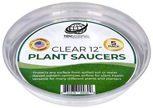 Clear Plant Saucer - 12