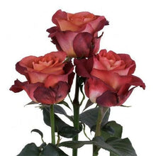Load image into Gallery viewer, Coffee Break Terracota Roses Wholesale - 48LongStems.com
