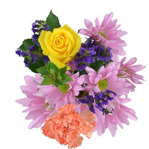 Color Me Purple - 48LongStems.com