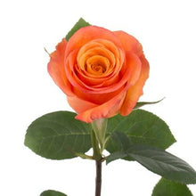 Load image into Gallery viewer, Confidential Orange Roses Wholesale - 48LongStems.com
