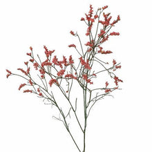 Load image into Gallery viewer, Coral Tinted Limonium - 48LongStems.com
